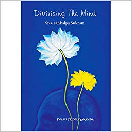 Divinising the Mind Kindle Edition